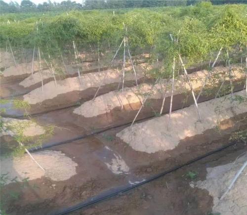hdpe geothermal pipe